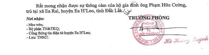 TXL TNMT 12